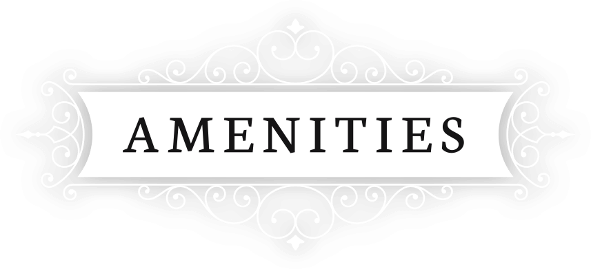 amenities icon